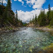 High School - Inglese - Canada - Alberta - Red Deer