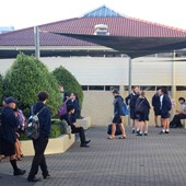 High School - Inglese - Nuova Zelanda - Mount Albert Grammar School