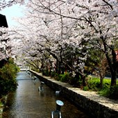 Curso di lingua - Giapponese - Giappone - Kyoto