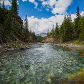 High School - Inglese - Canada - Alberta - Livingstone Range