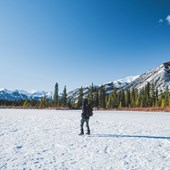 High School - Inglese - Canada - Alberta - Livingstone Range