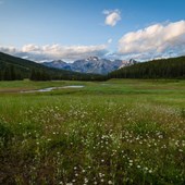 High School - Inglese - Canada - Alberta - Livingstone Range