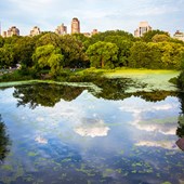 New York - Central Park 