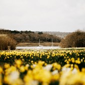 High School - Inglese - Gran Bretagna - Brockenhurst College