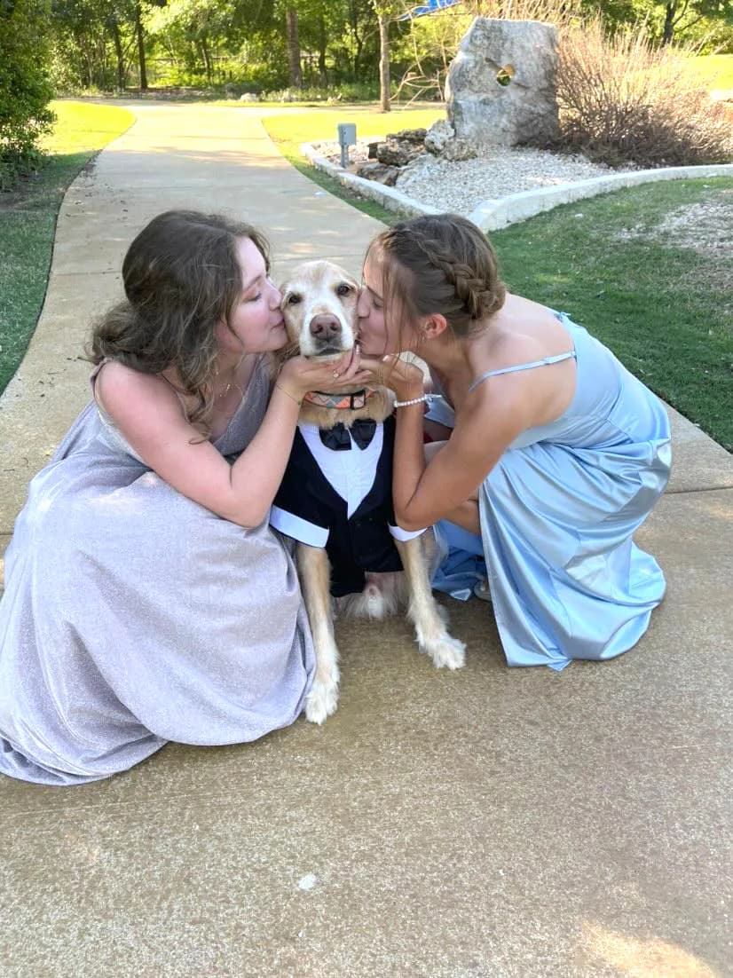 Due studentesse vestite eleganti durante il prom baciano un cane in smoking, un momento simbolico del sistema scolastico americano e della vita scolastica negli USA.