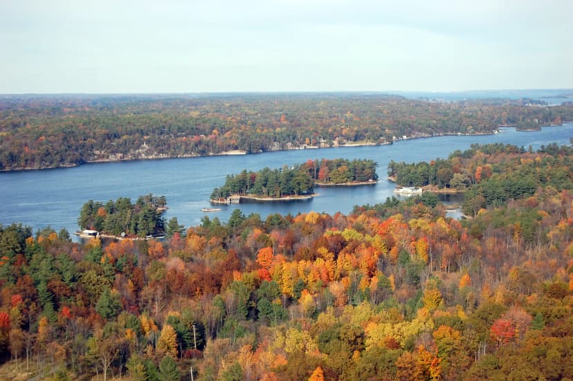 Vista aerea di lago e foreste negli Stati Uniti, ambiente naturale che fa da contesto all’esperienza di un anno all’estero in USA.