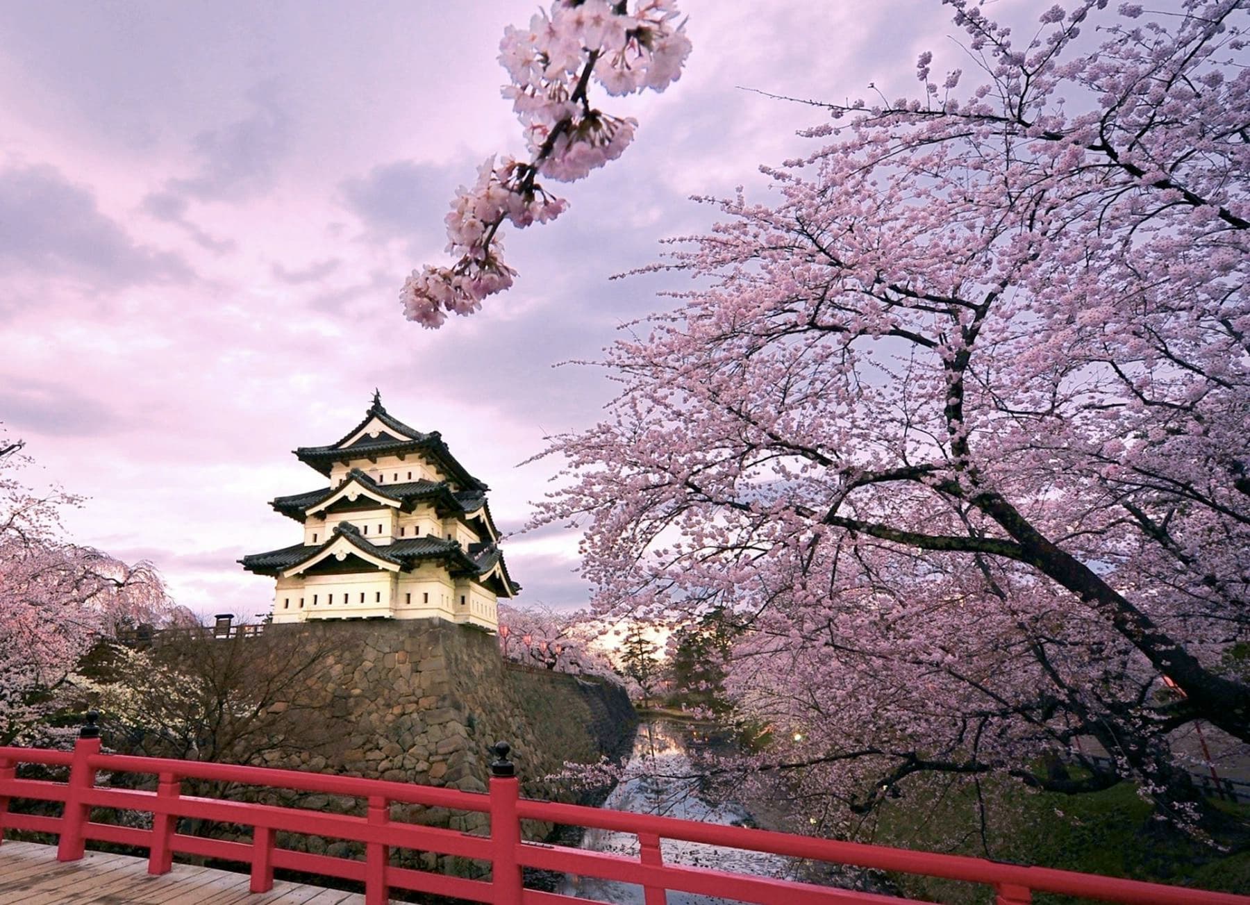 Castello giapponese a Kobe tra ciliegi in fiore durante soggiorni linguistici
